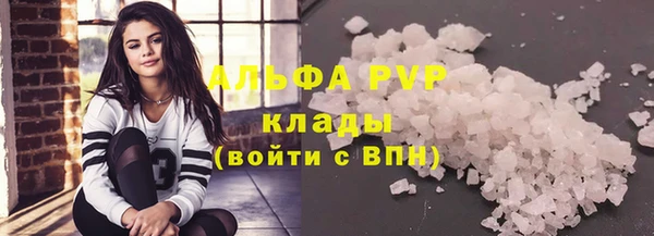 спиды Богородицк
