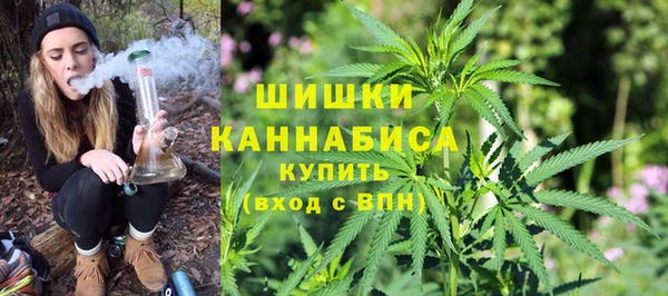 спиды Богородицк