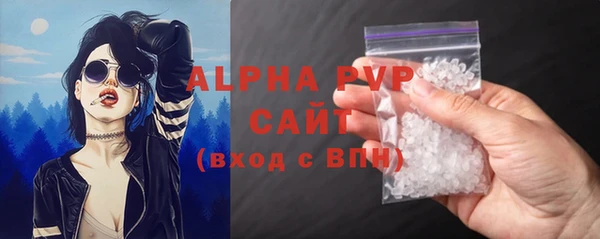 спиды Богородицк