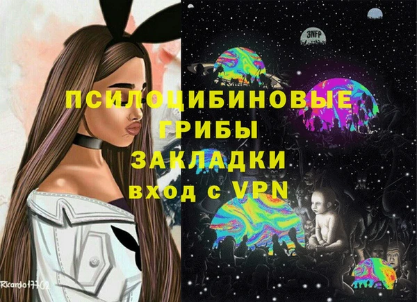 спиды Богородицк