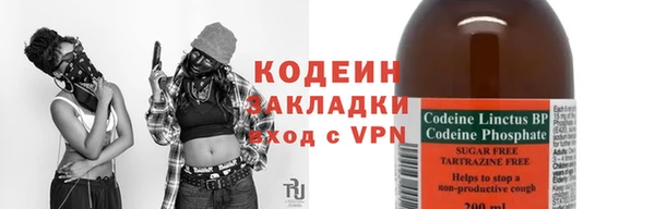 мдпв Богородск