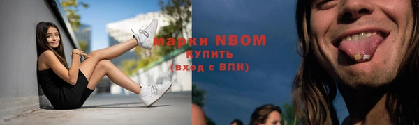 метадон Богданович