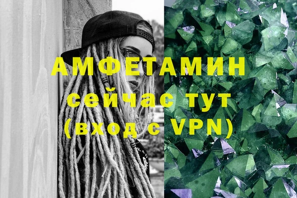 метадон Богданович