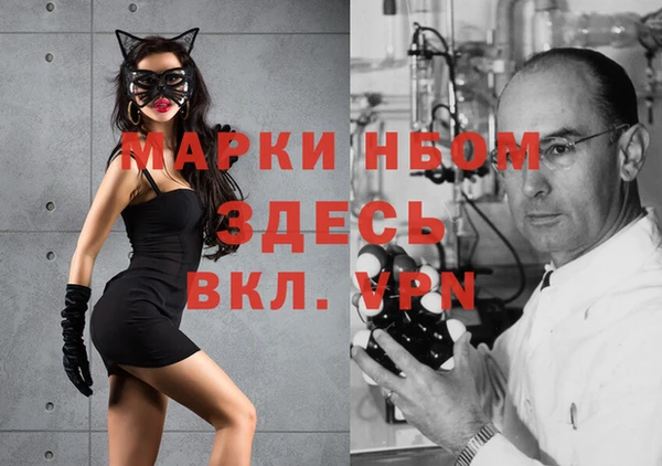 метадон Богданович