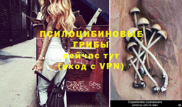 спиды Богородицк