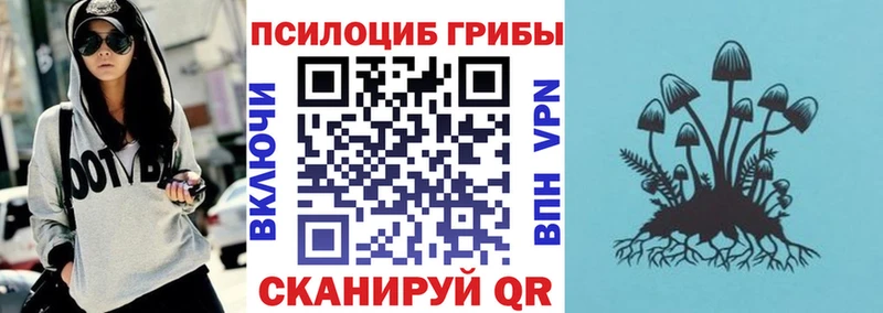 Псилоцибиновые грибы GOLDEN TEACHER  Чудово 